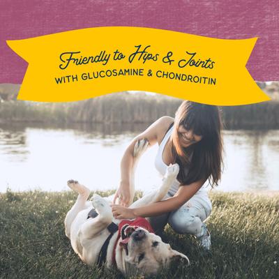 Rewards Jumpin' Stix with Real Venison Dog Treats, 10-oz bag