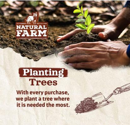 Thick Beef Bully Sticks Dog Treats, 6-in, 5 count