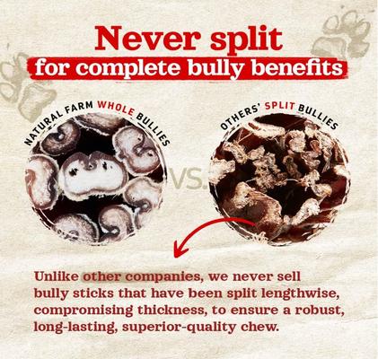 Thick Beef Bully Sticks Dog Treats, 6-in, 5 count