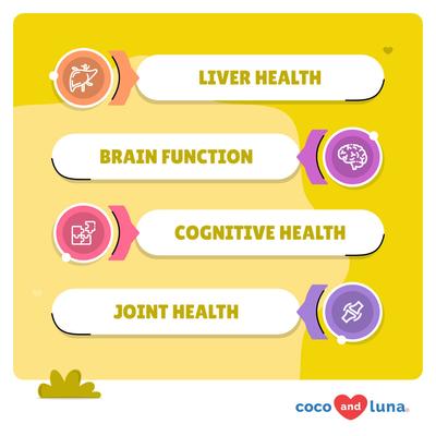 Coco and Luna SAMeLq Bacon & Liver Flavor Dog Supplement, 120 count