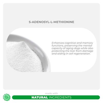 Coco and Luna SAMeLq Bacon & Liver Flavor Dog Supplement, 120 count