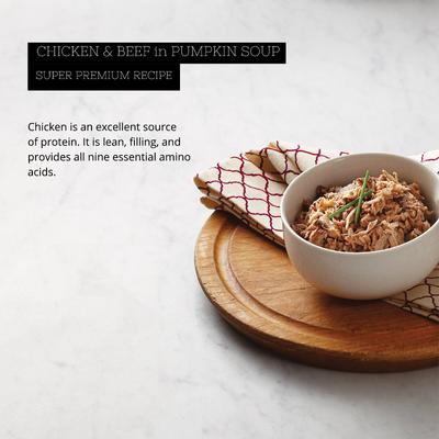 Super Premium Chicken & Beef Formula in Pumpkin Soup Grain-Free Canned Cat Food, 2.8-oz, case of 24