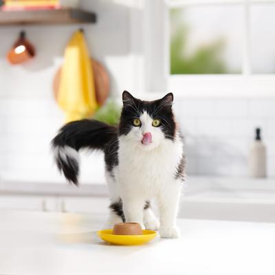 Pate in Gravy Surf n Turf Variety Pack Wet Cat Food, 2.75-oz cup, case of 12