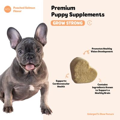 Bites Grow Strong Supplement Salmon Flavored Soft Chews, 60 count