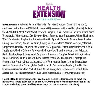 Paquete: Alimento seco con receta de salmón de Health Extension + Receta de salmón al horno con premios de col rizada para perros