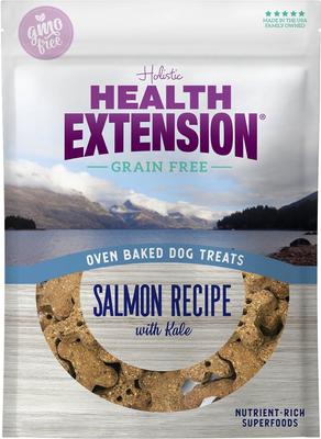 Paquete: Alimento seco con receta de salmón de Health Extension + Receta de salmón al horno con premios de col rizada para perros