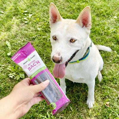 Better Bac'n Plant-Based Bacon Flavor Dog Chews, 6 count