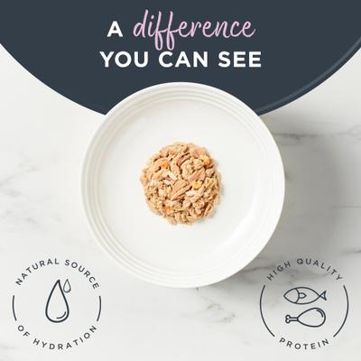 Natural Grain-Free Tuna Fillet with Shrimp in Broth Flavored Wet Cat Food, 2.47-oz can, case of 24