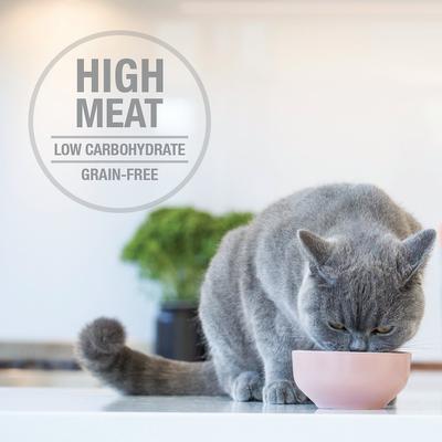 Lamb & King Salmon Grain-Free Wet Cat Food, 3-oz pouch, case of 12