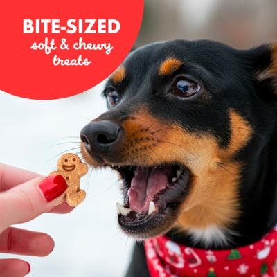 Buddy Softies Holiday Treats Gingerbread Flavor Soft & Chewy Dog Treats, 6-oz bag