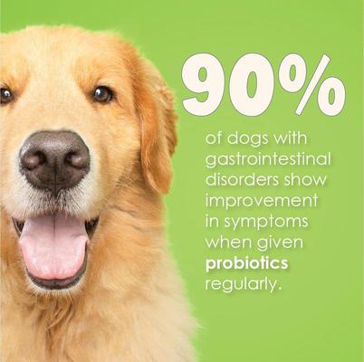 Powder Digestive Supplement for Dogs, 30 servings