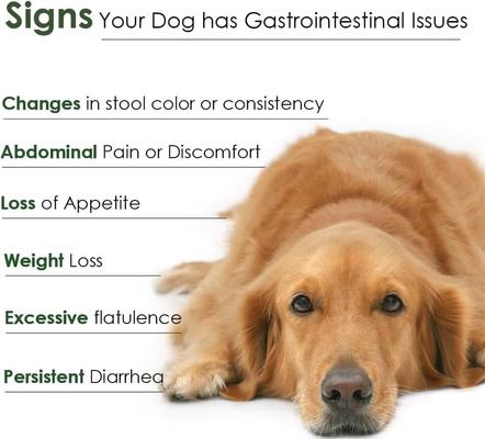 Powder Digestive Supplement for Dogs, 30 servings