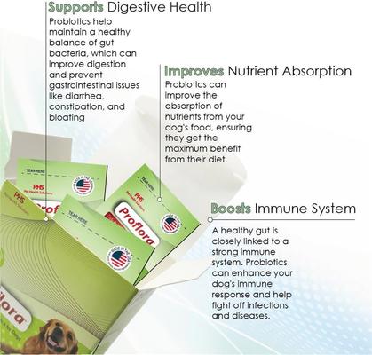 Powder Digestive Supplement for Dogs, 30 servings