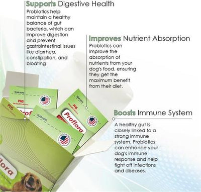 Powder Digestive Supplement for Dogs, 30 servings