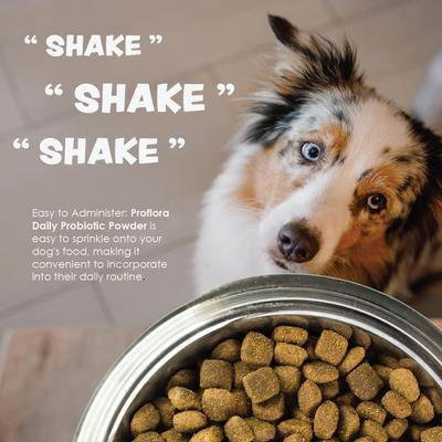 Powder Digestive Supplement for Dogs, 30 servings