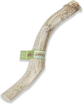 Whole Deer Antler Dog Chews, 8 - 9.5 in