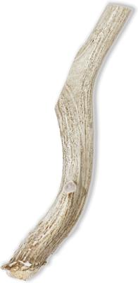 Whole Deer Antler Dog Chews, 8 - 9.5 in