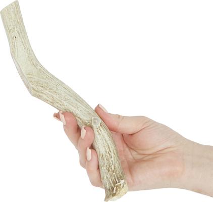 Whole Deer Antler Dog Chews, 8 - 9.5 in