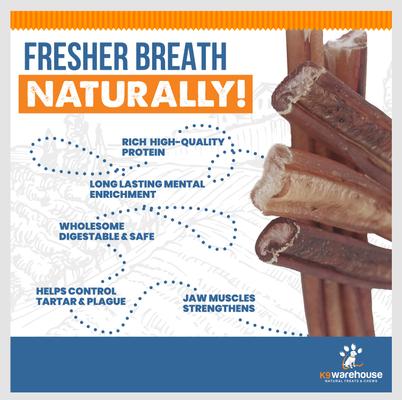 Jumbo 12-inch Bully Sticks Dog Treats, 3 count