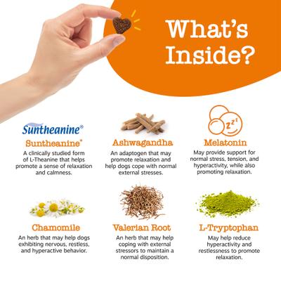 Hemp Elements Plus Calming Bites Roast Beef Flavored Soft Chews Broad Spectrum Hemp Extract Calming Health Supplement for Dogs, 45 count