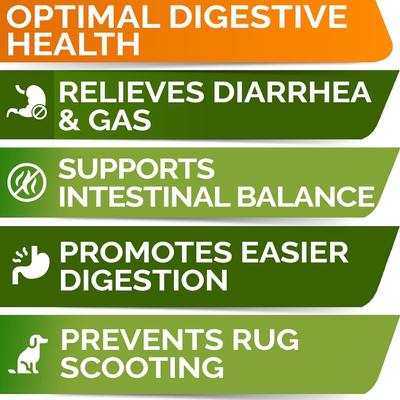 Vet Strength Probiotics & Digestive Enzymes Fiber Chew Supplement & Digestion & Gut Health for Dogs, 120 count