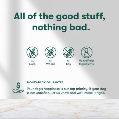 Beef & Bone Broth Biscuits Crunchy Dog Treats, 64-oz bag