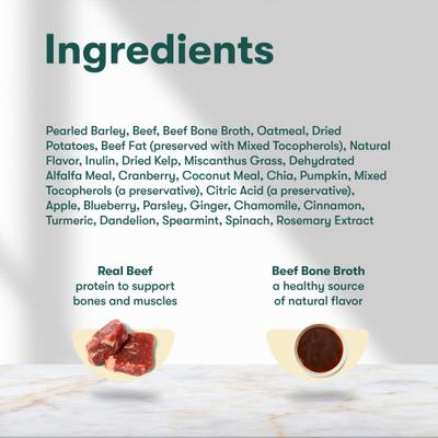 Beef & Bone Broth Biscuits Crunchy Dog Treats, 64-oz bag