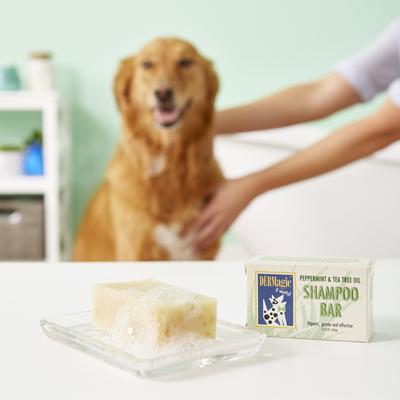 Peppermint & Tea Tree Oil Dog Shampoo Bar, 3.75-fl oz