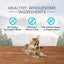 Bundle: Blue Buffalo Wilderness Chicken Recipe Dry Food + Chicken Formula Crunchy Cat Treats