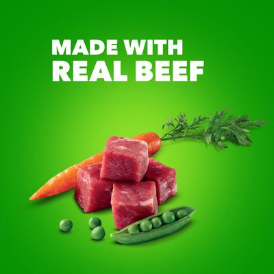 Proactive Health Beef Chunks in Gravy Canned Wet Dog Food, 13-oz can, case of 12