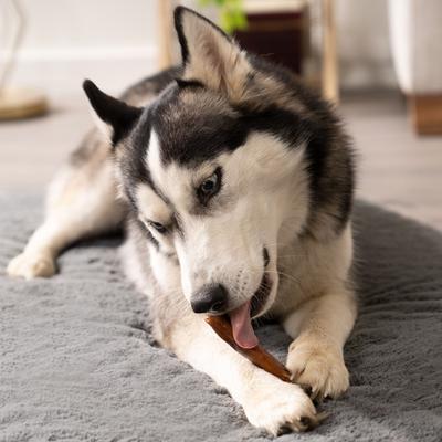 Beefhide 5-inch Chip Rolls Variety Pack Beef & Chicken Flavored Dog Hard Chews, 18 count