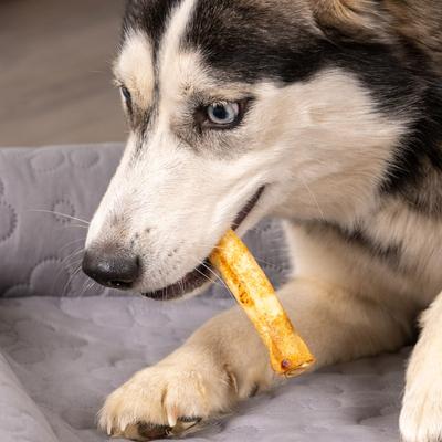 Beefhide 5-inch Chip Rolls Variety Pack Beef & Chicken Flavored Dog Hard Chews, 18 count