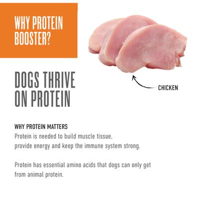 Born Carnivore Protein Booster Chicken Recipe in Broth Grain-Free Dog Food Topper, 2.1-oz pouch, case of 12