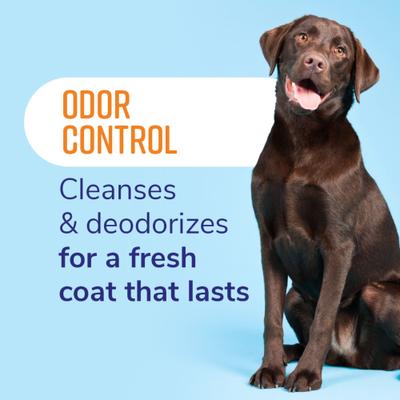 Fresh & Soothing Odor Control Refreshing Dog Shampoo, 22-fl oz bottle