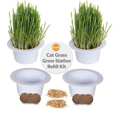 Cat Grass Grow Station Growing Cup Refills, White, 2 count