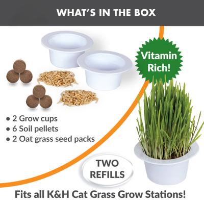 Cat Grass Grow Station Growing Cup Refills, White, 2 count