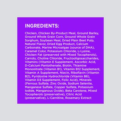 Paquete: Iams MiniChunks Small Kibble + Alimento seco para perros adultos mayores de 7 años con pollo real