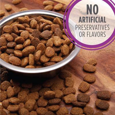 Paquete: Iams MiniChunks Small Kibble + Alimento seco para perros adultos mayores de 7 años con pollo real