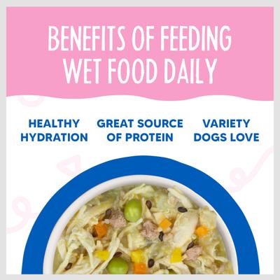 Meals 'n More Natural Wet Dog Food, Grandma's Chicken Soup Plus Digestive Support, 3.5-oz cup, 12 count