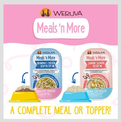 Meals 'n More Natural Wet Dog Food, Grandma's Chicken Soup Plus Digestive Support, 3.5-oz cup, 12 count