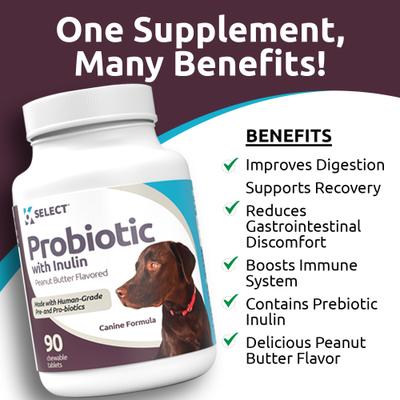 Inulin Probiotic for Dogs, 90 count