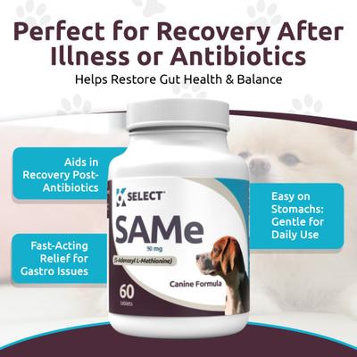 Inulin Probiotic for Dogs, 90 count