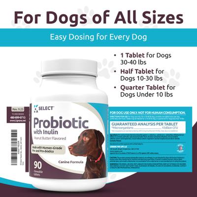 Inulin Probiotic for Dogs, 90 count
