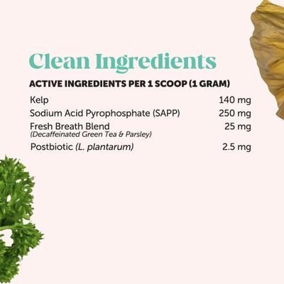 Fresh Breath Dental Powder for Cats, 60 count