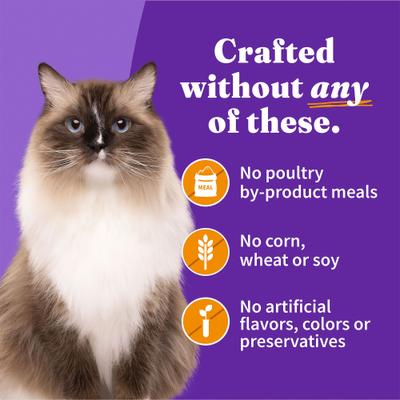 Adult Grain-Free Pate Chicken Recipe Wet Cat Food, 5.5-oz can, case of 12