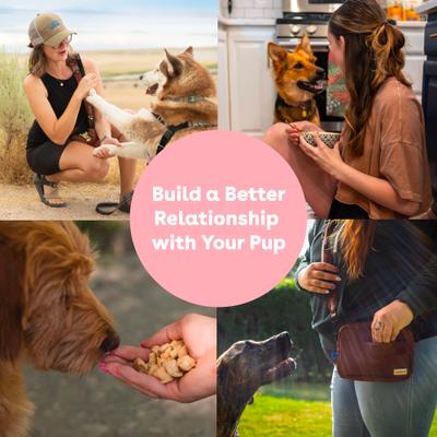 Train Surf & Turf Natural Freeze-Dried Dog Treats, 5-oz pouch