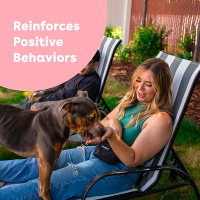 Train Surf & Turf Natural Freeze-Dried Dog Treats, 5-oz pouch