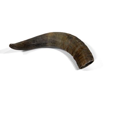 Premium Cattle Horn Dog Chew, Large