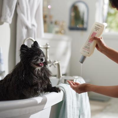 Silk Therapy Detangling Dog Shampoo