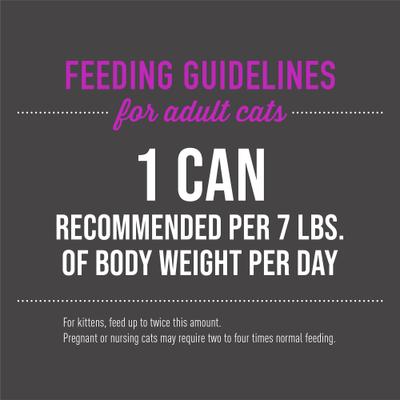 Luau Wild Salmon in Salmon Consomme Grain-Free Canned Cat Food, 6-oz, case of 8